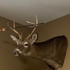 Meet your Posher, Douglas